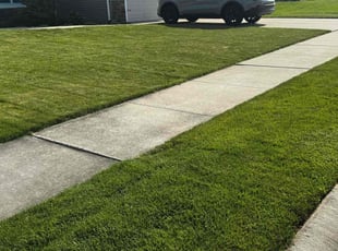 Tina H.'s grass maintenance service result