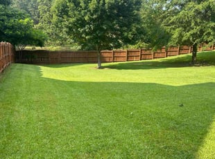 Takiyah B.'s lawn care services service result