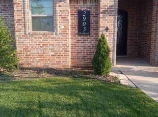 Mercedes R.'s lawn service service result