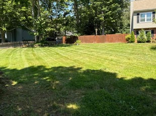 Barbara S.'s lawn care service result