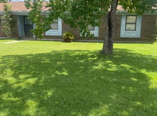 Walter C.'s lawn service service result