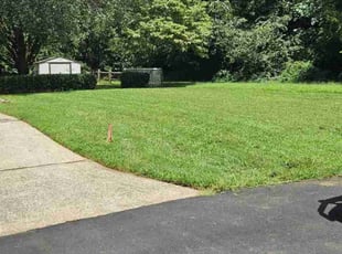 Josh B.'s turf care service result