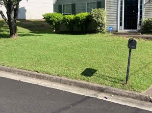 Adam C.'s lawn service service result