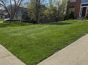 Sabrina J.'s lawn service service result