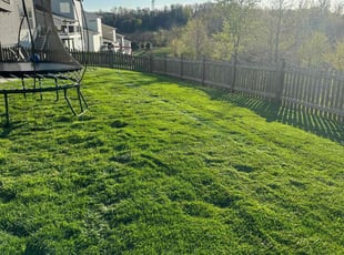Alesha W.'s turf care service result
