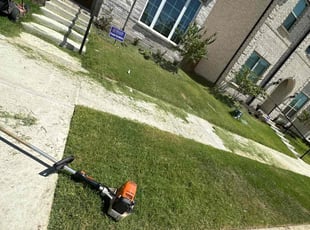 Tom L.'s Cleanups service result