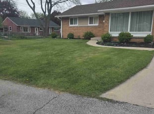 Keith K.'s grass maintenance service result