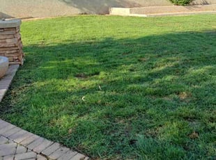 Carnitha M.'s lawn service service result