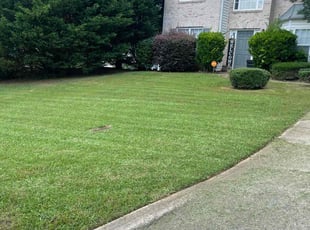 Anna L.'s lawn service service result