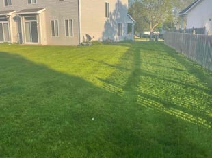 Henry N.'s Long Grass Cleanup service result
