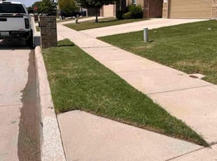 Lauren B.'s lawn care services service result