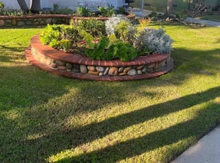 Wayne E.'s yard service service result