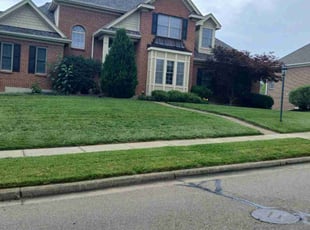 Tammy M.'s grass maintenance service result