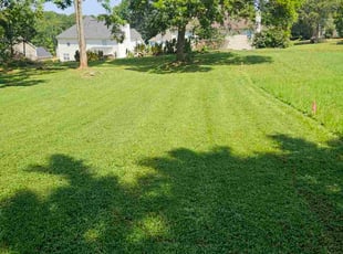 Debra B.'s lawn care service result