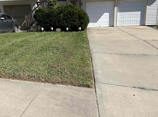 Marcia J.'s lawn maintenance service result