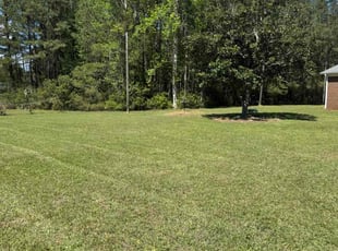 Missy N.'s lawn service service result