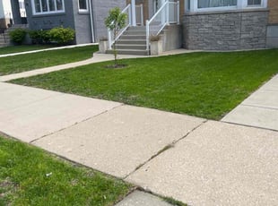 Donnell B.'s grass maintenance service result