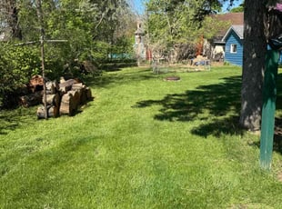 Clyde S.'s turf care service result
