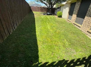 Pat M.'s turf care service result