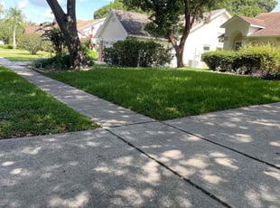 Isham L.'s turf care service result