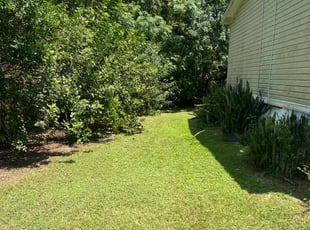 Juanita S.'s lawn service service result