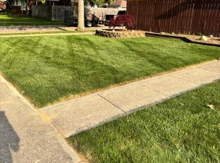 Nina N.'s turf maintenance service result