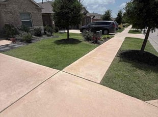 Araba A.'s lawn care services service result