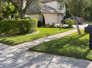 Julia S.'s grass cutting service result