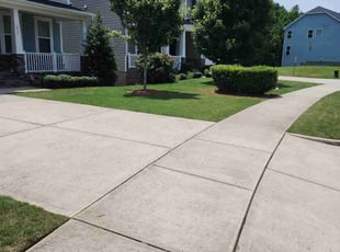 Danielle S.'s lawn maintenance service result