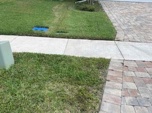 Erika P.'s Long Grass Cleanup service result