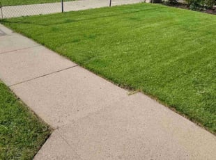 Chris S.'s grass cutting service result