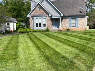 Michael S.'s grass maintenance service result