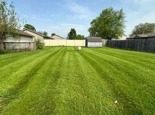 Melissa S.'s landscaping service result