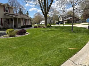 Rana K.'s turf care service result