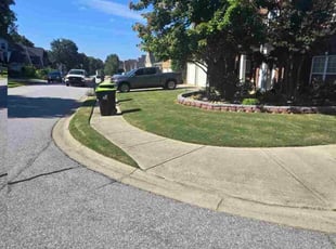 Angie A.'s lawn care services service result