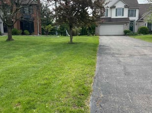 Lynly J.'s lawn care service result