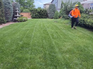 Brittany B.'s lawn care service result