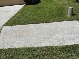 Cathie S.'s lawn service service result