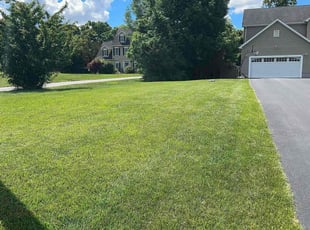 Lily K.'s grass maintenance service result