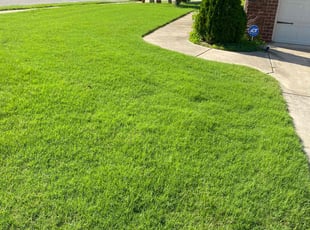 Ileana K.'s turf maintenance service result