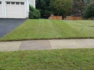 Dorian M.'s lawn service service result