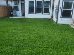 Carol G.'s lawn care service result