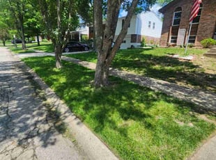 Scott D.'s lawn care services service result