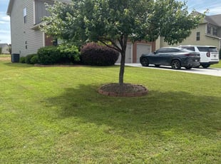 Marc D.'s lawn maintenance service result