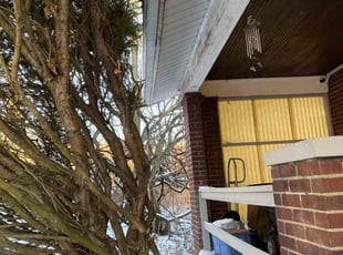 Erik L.'s Bush Trimming service result