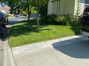 Alden C.'s turf care service result