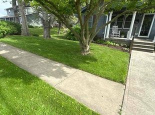 Jill R.'s lawn care service result