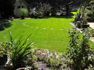 Joshua H.'s grass maintenance service result