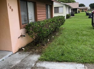 Felicia G.'s Flower Bed Weeding service result