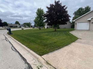 Helga G.'s lawn care services service result